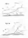 Fig. 04 - Device and method for removing pests from a surface
