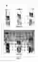 Fig. 02 - Process for aseptic vacuum filling and stoppering of low viscosity liquids in syringes