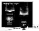 Fig. 04 - Process for aseptic vacuum filling and stoppering of low viscosity liquids in syringes