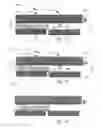 Fig. 13 - Pattern former for wrapped bakery products and method for loading and unloading bakery products