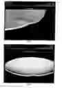 Fig. 02 - Refractory metal pots