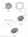 Fig. 03 - Interpolation filter of press coffee pot