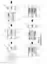 Fig. 02 - Printing method for window blind slats