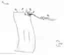 Fig. 04 - Wrist flag device