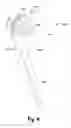 Fig. 05 - Brush for removal of hair
