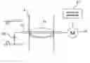 Fig. 01 - Electronic throttle valve control system and two-wheeled motor vehicle