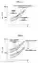 Fig. 05 - Gas-mixture-ignition-time estimation apparatus for internal combustion engine, and control apparatus for internal combustion engine