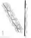 Fig. 33 - Fuel delivery pipe