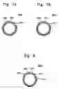 Fig. 08 - Apparatus for cleaning substrates