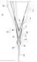 Fig. 01 - Reversible umbrella
