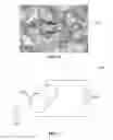 Fig. 04 - High-throughput printing of semiconductor precursor layer from nanoflake particles