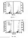 Fig. 09 - Passivating layer for photovoltaic cells