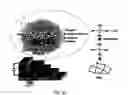 Fig. 18 - Passivating layer for photovoltaic cells