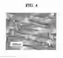 Fig. 03 - Copper alloy