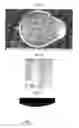 Fig. 06 - Copper alloy