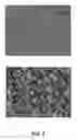Fig. 06 - Single crystal wire and manufacturing method of the same