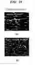 Fig. 20 - High strength and high toughness metal and method of producing the same