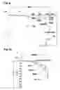 Fig. 07 - Runflat tire