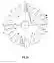 Fig. 04 - Residential fire sprinkler