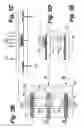 Fig. 10 - Integrated electrokinetic devices and methods of manufacture