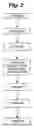 Fig. 03 - Food inductive heating device and method