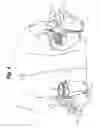 Fig. 09 - Food and beverage carrier and method
