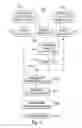 Fig. 11 - Electronic voting method and system employing a printed machine readable ballot