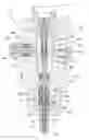 Fig. 01 - Ultrasonic fuel injector