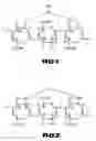 Fig. 02 - Solution of metal-polymer chelate(s) and applications thereof