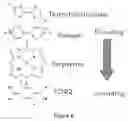 Fig. 06 - Hierarchical Assembly of Interconnects for Molecular Electronics