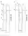 Fig. 41 - Wafer encapsulated microelectromechanical structure and method of manufacturing same