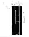 Fig. 10 - Wafer encapsulated microelectromechanical structure and method of manufacturing same