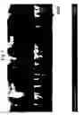 Fig. 07 - Gallium nitride-based compound semiconductor light-emitting device