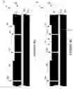 Fig. 05 - Wafer encapsulated microelectromechanical structure and method of manufacturing same