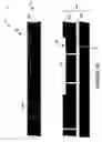 Fig. 14 - Wafer encapsulated microelectromechanical structure and method of manufacturing same