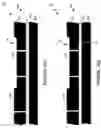 Fig. 21 - Wafer encapsulated microelectromechanical structure and method of manufacturing same