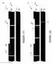 Fig. 29 - Wafer encapsulated microelectromechanical structure and method of manufacturing same