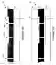 Fig. 41 - Wafer encapsulated microelectromechanical structure and method of manufacturing same