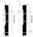 Fig. 89 - Wafer encapsulated microelectromechanical structure and method of manufacturing same