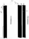 Fig. 196 - Wafer encapsulated microelectromechanical structure and method of manufacturing same