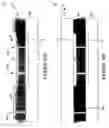 Fig. 89 - Wafer encapsulated microelectromechanical structure and method of manufacturing same