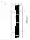 Fig. 184 - Wafer encapsulated microelectromechanical structure and method of manufacturing same