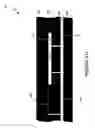 Fig. 185 - Wafer encapsulated microelectromechanical structure and method of manufacturing same