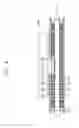 Fig. 07 - Cooling apparatus for memory module