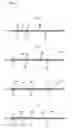 Fig. 07 - Metal gasket
