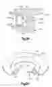 Fig. 12 - Seal assembly for fluid components