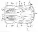 Fig. 01 - Snow sled having steerable foot rudders