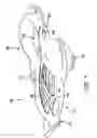Fig. 02 - Snow sled having steerable foot rudders