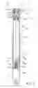 Fig. 04 - Locking device of a front fork with shock absorber and releasing pressure structure therewith