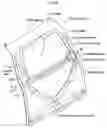 Fig. 10 - Hatchback door structure for vehicles